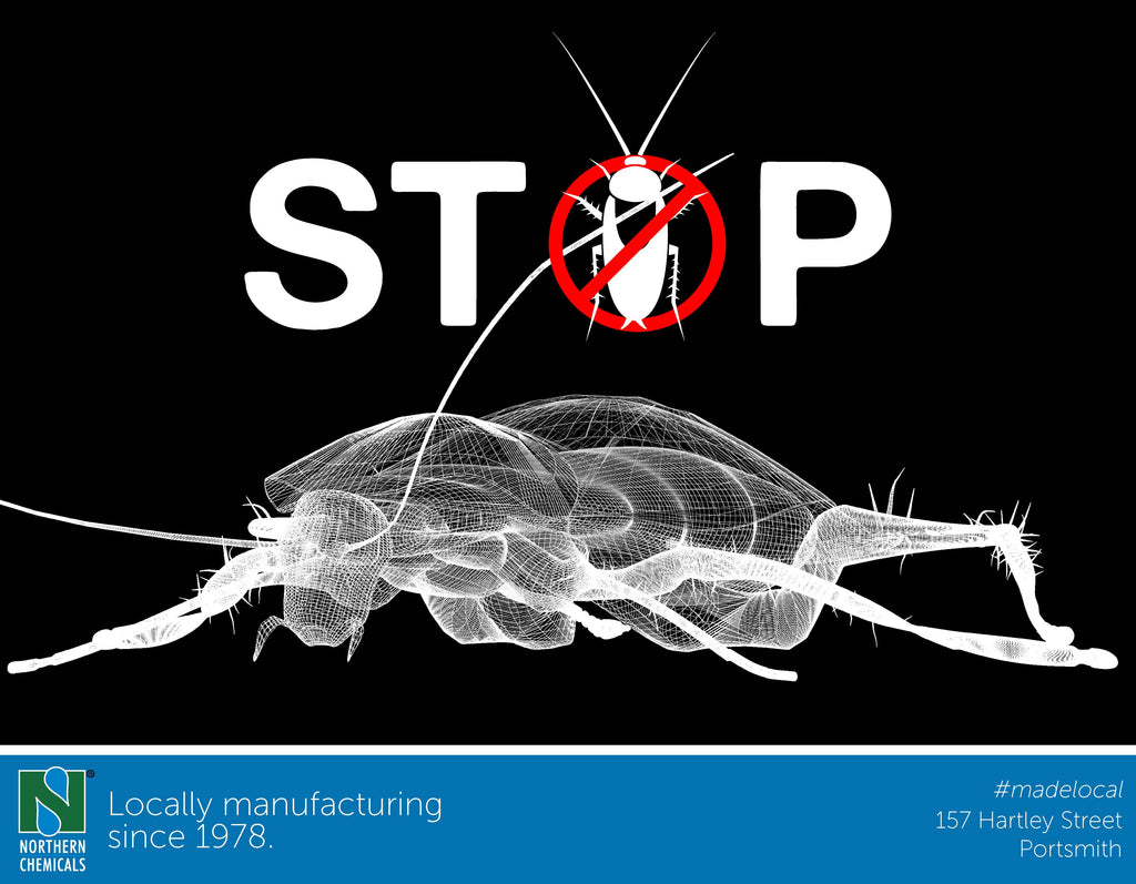 Say Goodbye to Cockroaches: The Benefits of Using Boric Acid