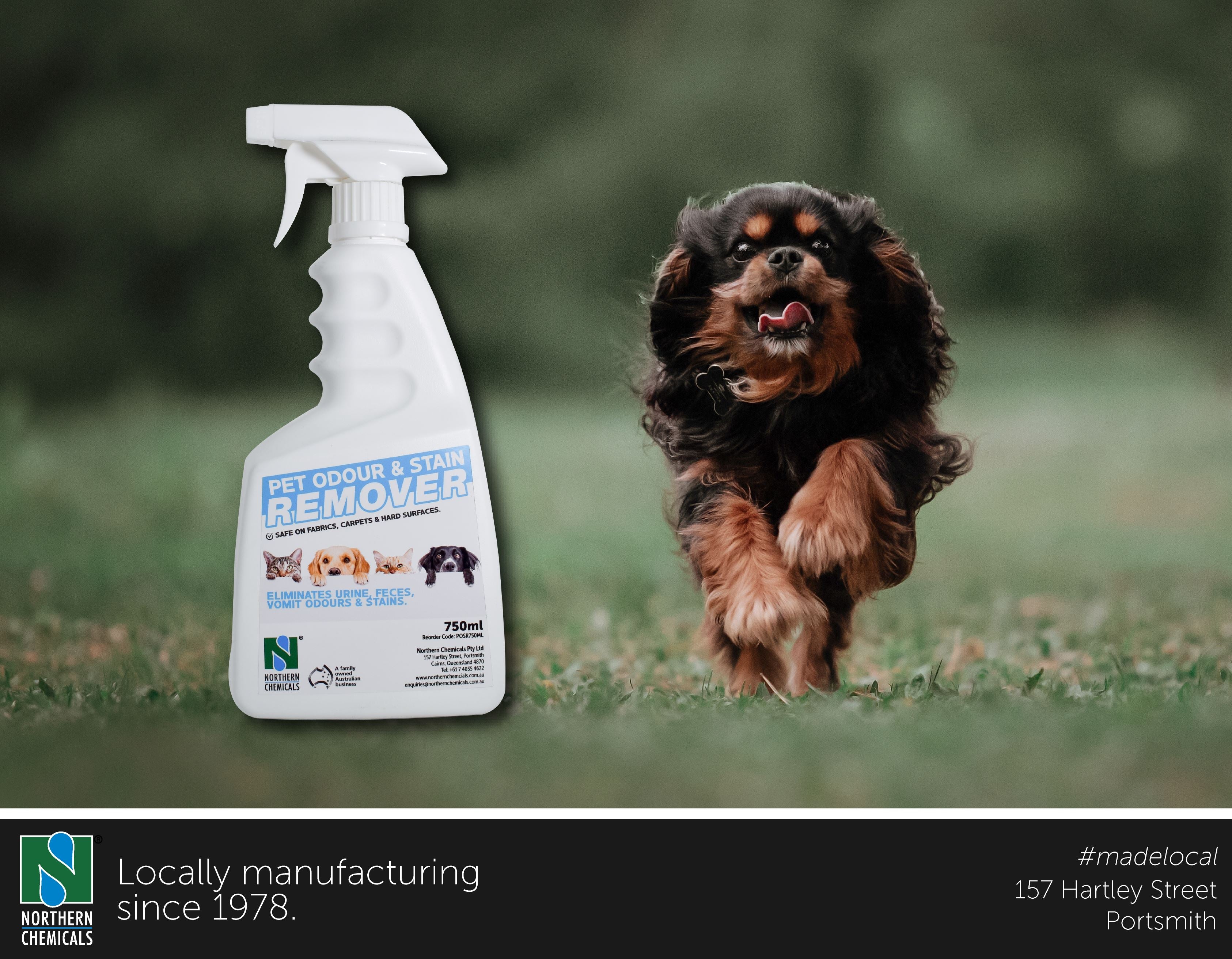 Pet Urine Odour and Stain Remover 750ml Spray Bottle Northern